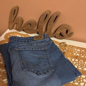 Designer Blue Straight Leg Jeans for Women